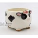 Cosmos Gifts Barnyard Cow Candy Bowl Multicolored