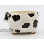 Cosmos Gifts Barnyard Cow Candy Bowl Multicolored