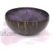 WiseArt Lacquer coconut bowl with wave pain Puple