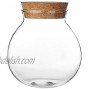 1PC 500G 17oz Clear Empty Round High Borosilicate Glass Bottle with Cork Cap Refillable Large Capacity Sealed Bottles Vial Jars Candy Dispenser Container Pot Jar Food Storage for Home Kitchen