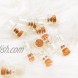 50 Pcs 1ml-extra Mini Tiny Clear Glass Jars Bottles with Cork Stoppers Marrywindix Glass Bottles for DIY Arts & Crafts Projects Decoration Party Favors