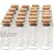 Axe Sickle 10 mL Cork Stopper Glass Bottles Mini Transparent Glass Bottles 48 Pcs.