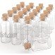 AxeSickle 20 mL Cork Stopper Glass Bottles Mini Transparent Glass Bottles 20 Pcs