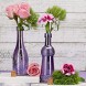 BULK PARADISE Small Purple Vintage Glass Bottles with Corks Bud Vases Decorative Potion Assorted Design Set of 12 pcs 4.6 Inch Tall 11.43cm 1.4 Inch Wide 3.56cm