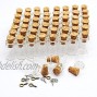 CTKcom 100pcs 0.5ml-Extra Mini Tiny Clear Glass Jars Bottles with Cork Stoppers Glass Bottles for Decoration Arts & Crafts Projects Party Favors,100 Botlles + 100 Screws
