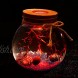 WXLAA 11cm Round Glass Jar Terrarium with Colorful LED Light Cork