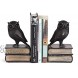 Danya B. Owl Bookends Decorative Rustic Bookshelf Decor Owls Bookend Set for Heavy Books Bronze Finish