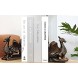 Decorative Bookends Heavy Duty Cast Iron Book Ends Dragon Statue,Vintage Shelf Decor Set 2